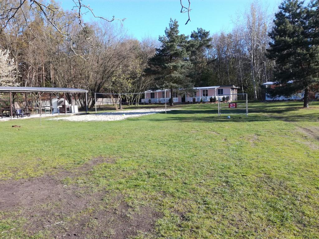 Hotel Ferienparadies Waldidylle, Familiengefuehrt Seit 20 Jahren - Mit Grossem Pool Und Viel Platz! à Haida Extérieur photo