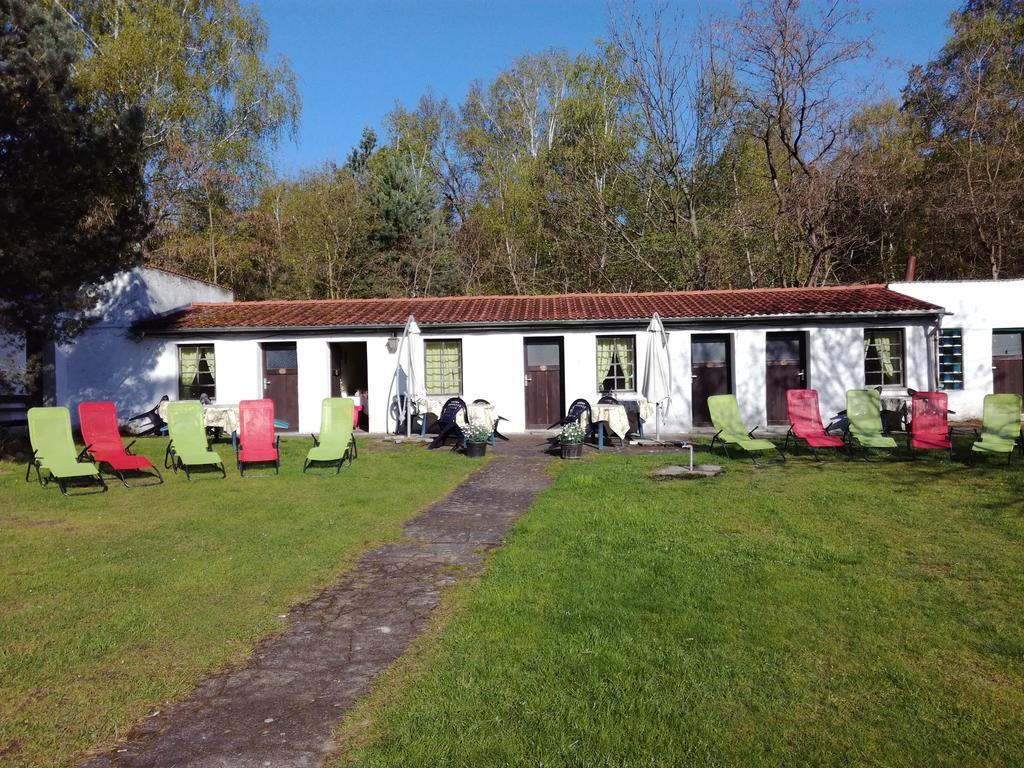 Hotel Ferienparadies Waldidylle, Familiengefuehrt Seit 20 Jahren - Mit Grossem Pool Und Viel Platz! à Haida Extérieur photo