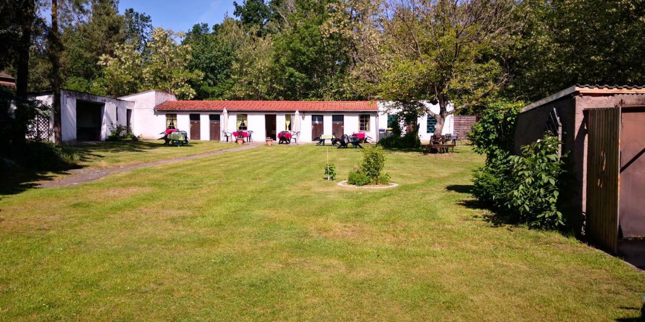 Hotel Ferienparadies Waldidylle, Familiengefuehrt Seit 20 Jahren - Mit Grossem Pool Und Viel Platz! à Haida Extérieur photo